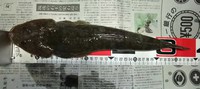 なんとなく終了の雰囲気