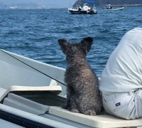 ラブラブ