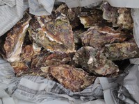 浜名湖定食