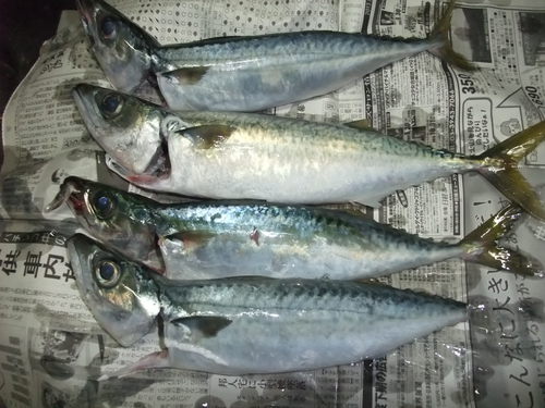 真夏の浜名湖とその沖