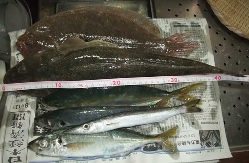 お盆の浜名湖