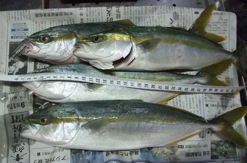 台風余果