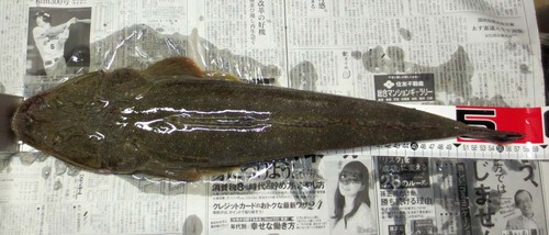 スーパーリベンジ！