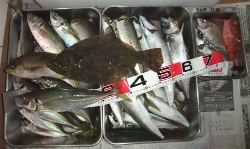 釣れているうちに釣らないと！