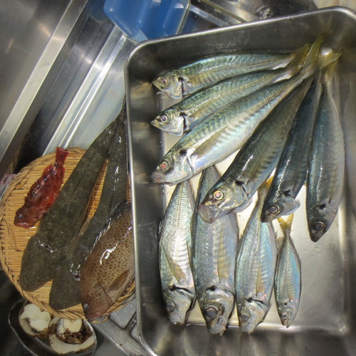 ９月最初の土日の釣行