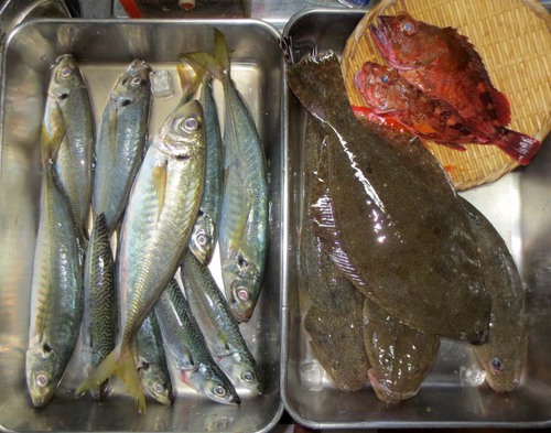 宴会食料調達！