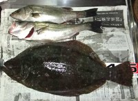 初冬土曜日の釣行