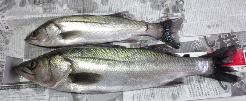 久しぶりの浜名湖