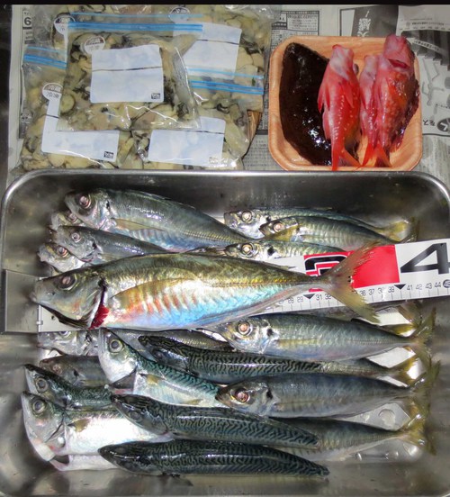 浜名湖も冬から春へ（その２）