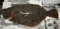 １２月３０日の釣行