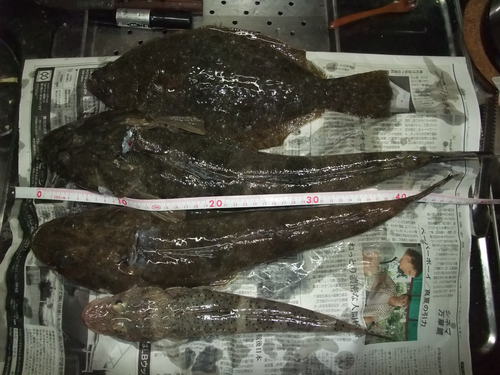 真夏の浜名湖とその沖