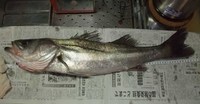 大分凹みました