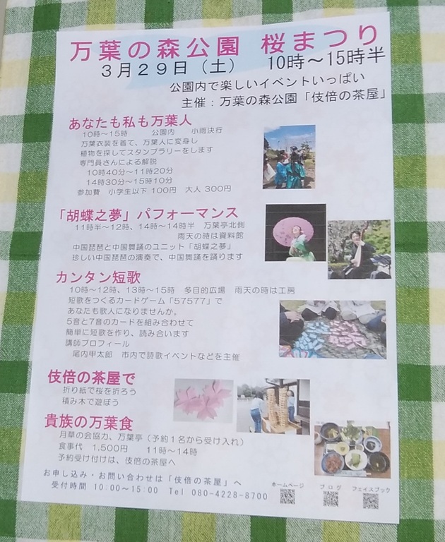 カンタン短歌～万葉の森公園　桜まつり～