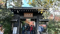 京都　嵐山　小倉山山麓　常寂光寺 紅葉