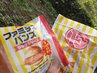 ☆森林浴しながら鶏さん生活～(*￣∇￣)ノ☆