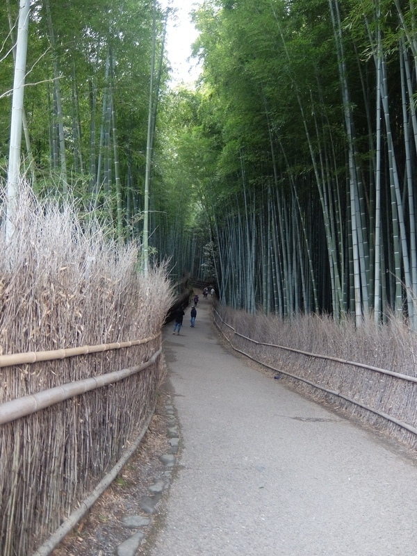 京都散策