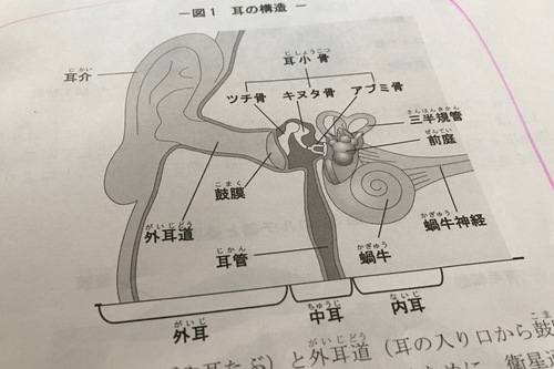 健康管理士は 実はめまいも耳鳴りもスペシャリスト