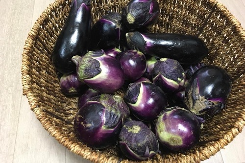 母が育てた夏野菜を こんな風に食べてみました