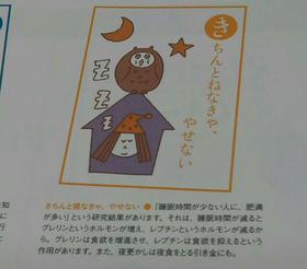 ダイエットを成功させる　知恵袋　《き》きちんと寝る