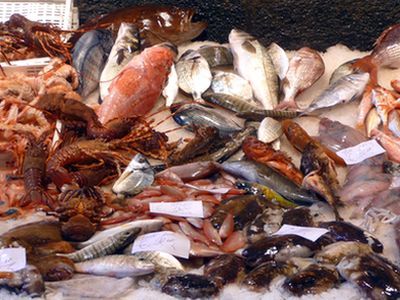 「魚介類」と「魚貝類」、「海産物」と「水産物」の違い