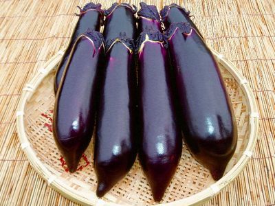 「嫁に食わすな」とまで言われた「秋茄子」は…⁉