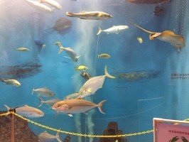 9月21日～10月8日の小旅行は浜松まつり会館＆浜名湖学習体験施設ウォット