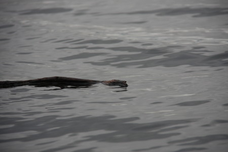 2013夏休み（続　＠北海道