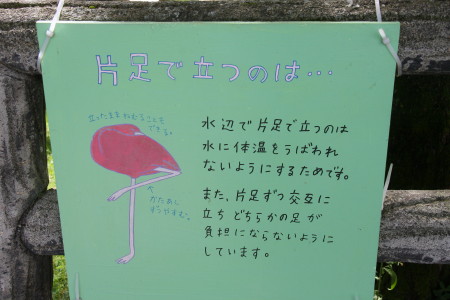 2013夏休み（最終日　＠北海道