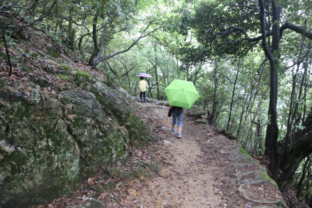 岐阜城（下山編）