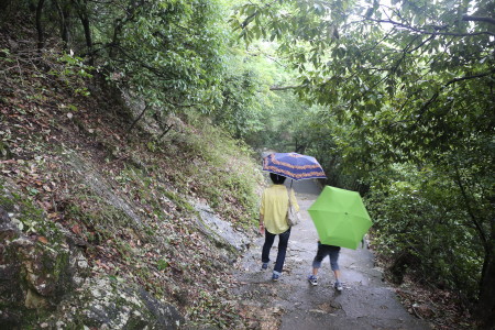 岐阜城（下山編）