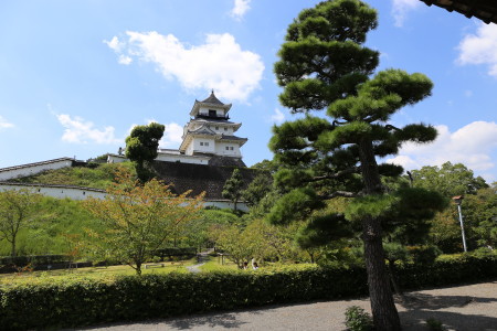 掛川城