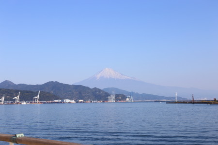 海王丸　＠清水港