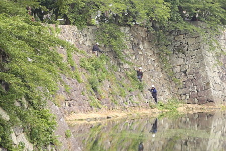 国宝　彦根城　その2