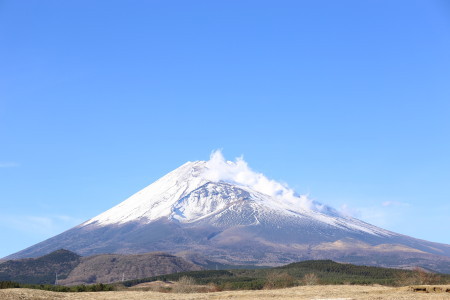 富士サファリパーク