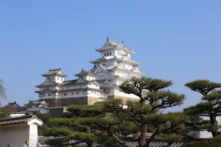 国宝　姫路城へ行ってきました