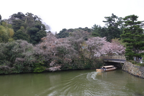 　国宝「松江城」へ行ってきました！（その１）　