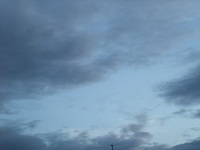 寂しさ 2015/08/10 20:19:23