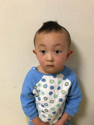 あけましておめでとうございます。
