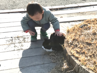 あけましておめでとうございます。