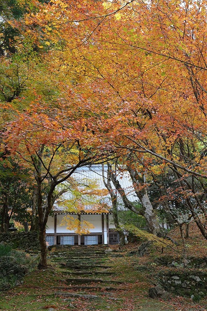 大同院　紅葉