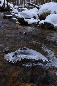 川面の風景