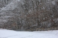 雪景色