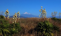 富士山とキミガミラン