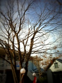 2013。。。 2012/11/29 12:47:10