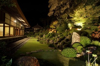 錦秋の龍潭寺　夜の特別公開