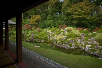 錦秋の龍潭寺　夜の特別公開