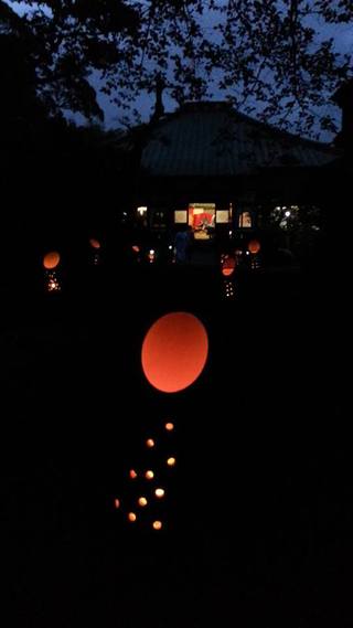 今年も大好評の竹燈籠