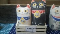 招き猫ももちろん来てます 2015/02/08 10:53:48