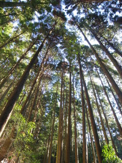 岩古谷山へＧＯ！　