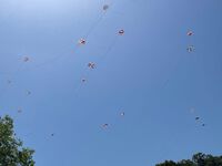 浜松まつり　3日目